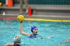 WWPolo vs CC  Wheaton College Women’s Water Polo compete in their sports inaugural match vs Connecticut College. - Photo By: KEITH NORDSTROM : Wheaton, water polo, inaugural